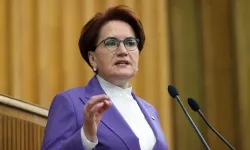 İyi Parti'de toplu istifa! Diyarbakır il ve ilçe teşkilatları görevi bıraktı
