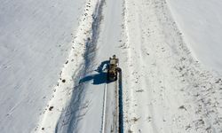 Van'da kardan kapanan 134 yerleşim yerinin yolu açıldı