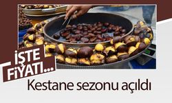 Van’da kestane sezonu açıldı: İşte fiyatı…
