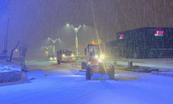 Van'da karla mücadele çalışmaları aralıksız sürüyor