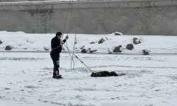 Buzlu nehirde mahsur kalan köpek kurtarıldı