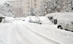 Meteoroloji Van İçin SON DAKİKA Uyarı! Buzlanma, don ve çığ…