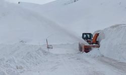 Van Karabet Geçidi'nde kar kalınlığı 2 metre 64 santimetrede...