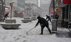 Meteoroloji Uyardı: Van’da kar yağışı devam edecek!