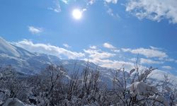 Bitlis'te kar yağışı yerini güneşli havaya bıraktı