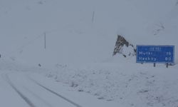 Bitlis 38 yerleşim birimi ulaşıma kapandı