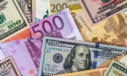 Dolar 30'u geçti! Dolar, Euro Ne Kadar oldu?  12 Ocak 2024 Canlı Döviz kuru…