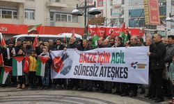 Van’da "Gazze için acil ateşkes" çağrısı