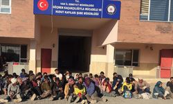 Van'da 132 düzensiz göçmen yakalandı