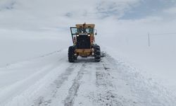 İpekyolu'nda karla mücadele sürüyor