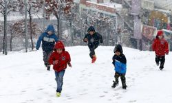 Van'ın o ilçelerinde okullar tatil edildi!