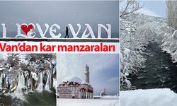 Van’dan kar manzaraları