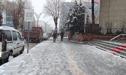 Van'da yoğun kar yağışı etkili oluyor