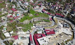 Vedaş’tan Bitlis Merkeze bağlı mahalle ve köylerine uyarı