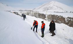 Çığ nedeniyle Van’ın  O ilçesine ulaşım sağlanamıyor