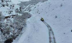 Bitlis'te kar yağışı var mı?