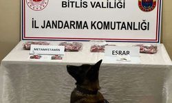 Bitlis'te uyuşturucu operasyonu