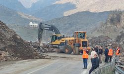 Bitlis-Diyarbakır kara yolunda heyelan: Kilometrelerce araç kuyruğu oluştu