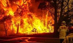 Orman yangınlarından dolayı binlerce kişi tahliye edildi
