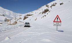 Van’ın iki ilçesine çığ tehlikesi uyarısı