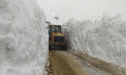 Van'da kar kalınlığı 5 metreye ulaştı