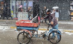 Van’da kar yağışı var mı? Meteoroloji Açıkladı!