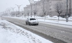 Meteoroloji Van İçin Kuvvetli Kar Yağışı Uyarısı! Lapa lapa yağacak!