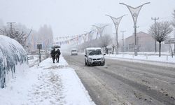 Van’da Kar yağışı Mart ayında bastırdı: 1 İlçesinde okullar tatil edildi!