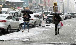 Van’ın Güney ve Kuzeyindeki ilçeler dikkat! Kar yağışı geri geliyor! 