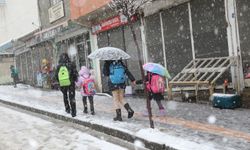  Van'da Yoğun kar yağışı nedeniyle okullar tatil edildi!