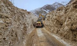 Van'da çığın düştüğü mahalle yolu açılıyor