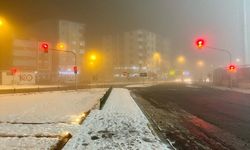 Ardahan'da yoğun sis hayatı kötü etkiledi