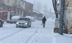 Van’da Kar Yağışı Sonrası Meteoroloji Yine Uyardı