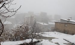 Hakkari'de bugün hava durumu nasıl...