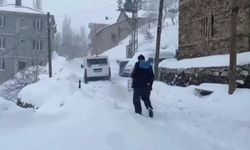 Van’da etkili olan kar yağışı hayatı olumsuz etkiledi