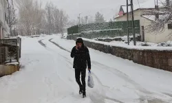 Bingöl'de sağanak akşam saatlerinde yerini kar yağışına bıraktı