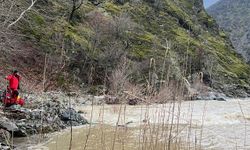 Bitlis'te iki gündür kaybolan vatandaş için arama çalışmaları başladı