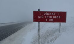 Çığ nedeniyle kapanan Ardahan-Artvin yolu ulaşıma açıldı