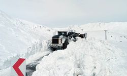 Hakkari'de kapanan yollar tekrardan açıldı