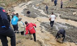 Van Erek Dağı'nda ot toplarken rahatsızlanan kişi hastaneye ulaştırıldı