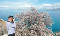 Fotoğrafçılık öğrencileri Akdamar Adası'nı görüntüledi