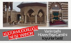 Van’ın tarihi Hüsrev Paşa Camii’ni koyunlar bastı!