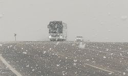 Van Kurubaş ve Güzeldere Geçidinde kar yağışı etkili oldu