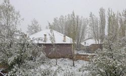 Van'da Mayıs ayında kar esareti: Her yer beyaza büründü