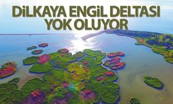 Van’daki doğa harikası ‘Dilkaya-Engil Deltası’ yok oluyor