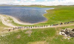 Van'daki Keşiş Gölü eşsiz doğasıyla ziyaretçilerini ağırlıyor