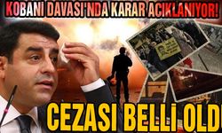 Selahaddin Demirtaş'ın cezası belli oldu!