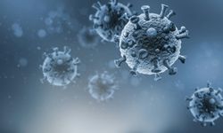 Yeni koronavirüs dalgası riski altında mıyız?