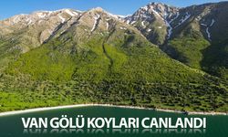 Van Gölü koyları baharın gelmesiyle canlandı