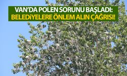 Van’da polen sorunu başladı: Belediyelere önlem alın çağrısı!